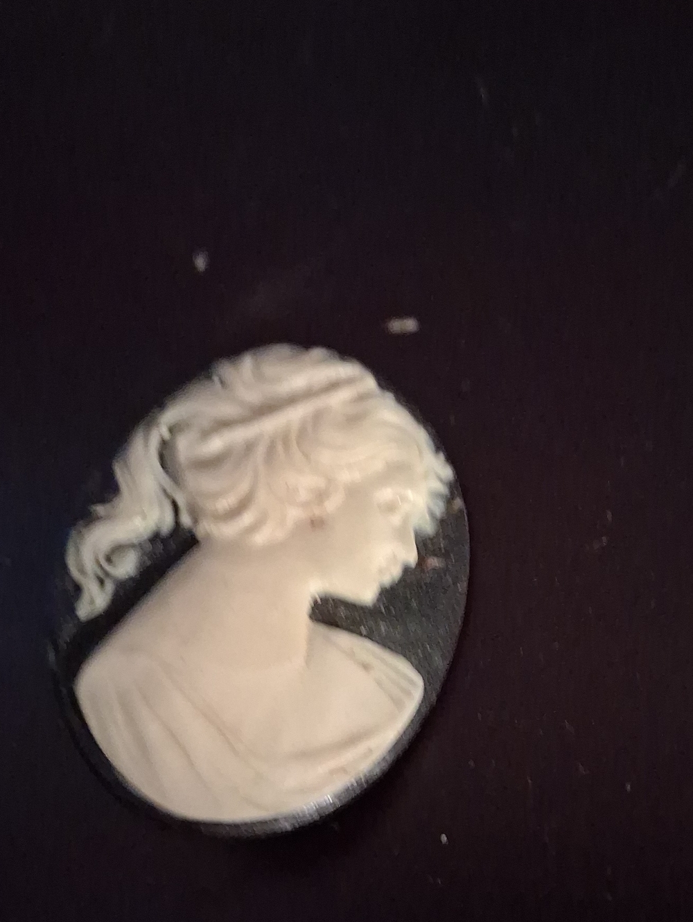 Black and white Cameo brooch Vintage lady face Cameo brooch